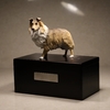 Box Urn for Cat Ashes Retro Style Dog Ashes Urn Wooden Cat Ashes Urn Compact Dog Urn Pet Cinerary Casket Small Pet Urn Wood Dog Urn Convenient Dog Ashes Urn Cat Urns Pet Ash Can