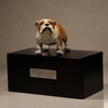 Urn Loss of Dog Memorial Urns Pet Cremation Urns Cinerary Casket Large Dog Urns Wood Urn for Pet Cinerary Jar Pet Bone Ash Can Pet Urn Box Ashes