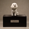 Sander Pet Urn Dog Urns Pet Cinerary Urn Memorial Urn for Pet Cremation Urn Tank Pet Cinerary Casket Pet Ash Jar Cats Urns Creative Urn Animal Ash Urn Pet Supplies