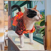 Hand made pet animal dog cat cow rabbit oil painting, personal custom portrait, dog group photo, cat portrait, photo customization, private painting for pets